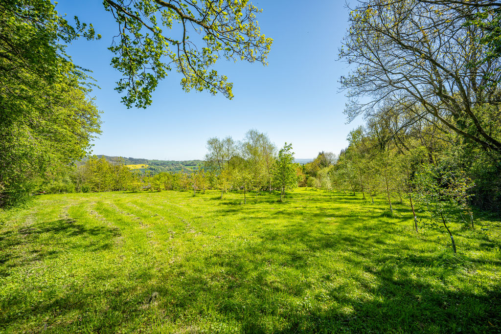 Grounds- click for photo gallery